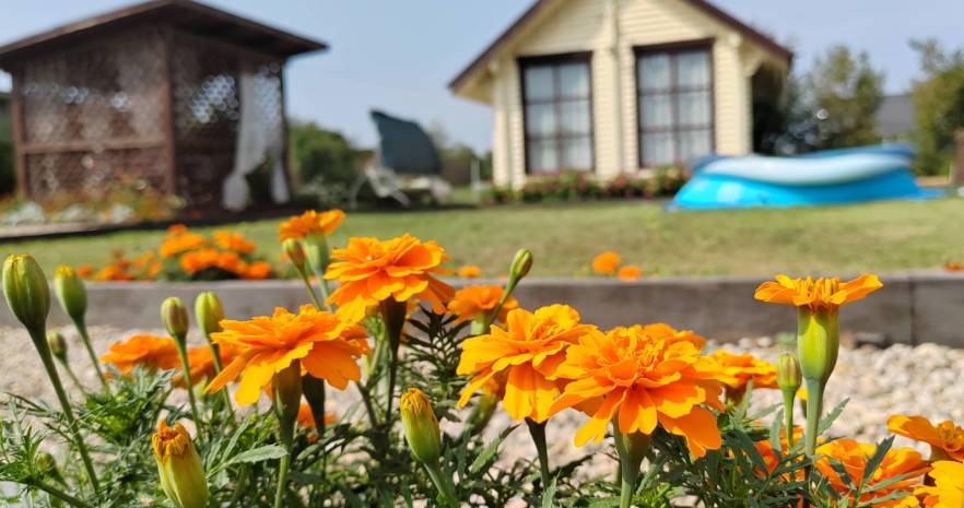 Домик в деревне для отличного отдыха в Минской области, д.Знаменка, ул.Поселковая, д.26  изображение 15 - kvartirka.by
