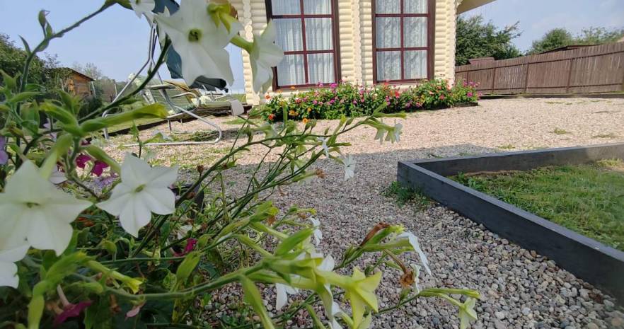 Домик в деревне для отличного отдыха в Минской области, д.Знаменка, ул.Поселковая, д.26  изображение 13 - kvartirka.by