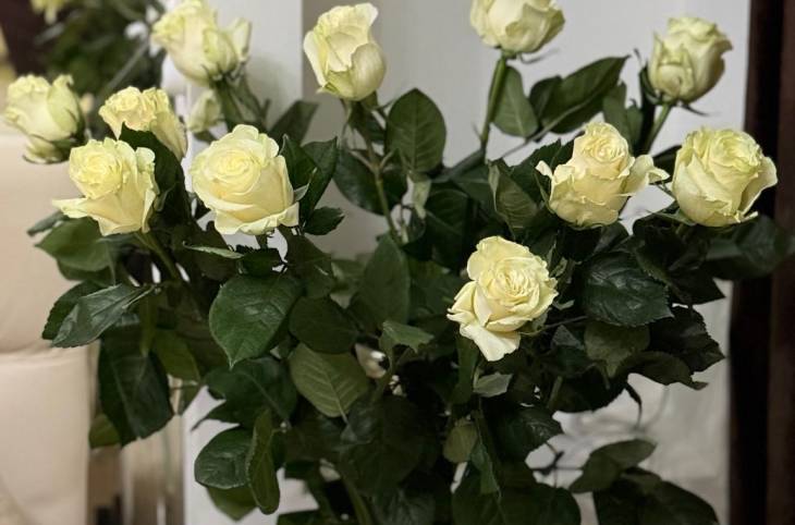 1-Комнатная квартира на сутки в  Минске,  Братская ул., 15    изображение 19 - kvartirka.by