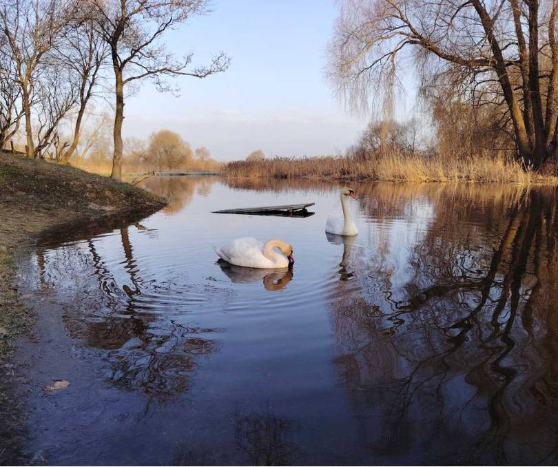Агроусадьба "Чудный хутор" - kvartirka.by