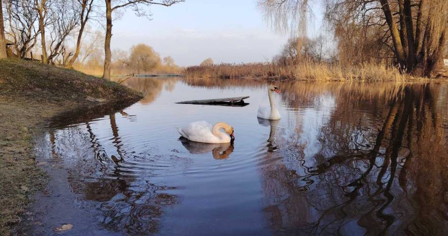 Агроусадьба "Чудный хутор" в Витебской области, Витебская обл., Поставский р-н, д.Забродье, ул.Заречная, д.38  изображение 4 - kvartirka.by
