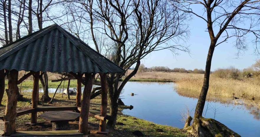 Агроусадьба "Чудный хутор" в Витебской области, Витебская обл., Поставский р-н, д.Забродье, ул.Заречная, д.38  изображение 10 - kvartirka.by
