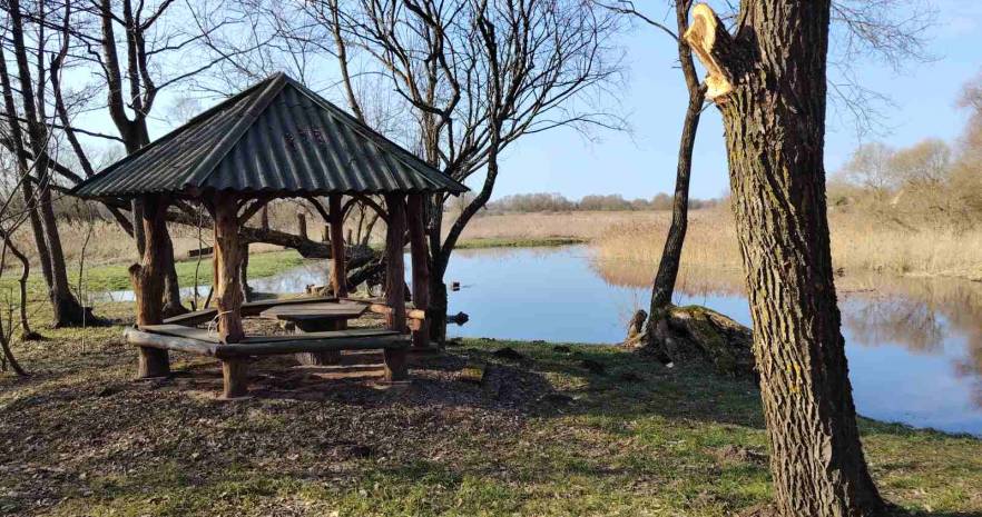 Агроусадьба "Чудный хутор" в Витебской области, Витебская обл., Поставский р-н, д.Забродье, ул.Заречная, д.38  изображение 12 - kvartirka.by