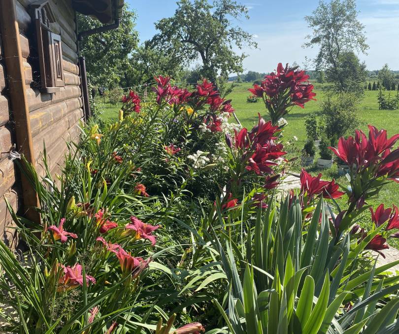 Шишканы - kvartirka.by