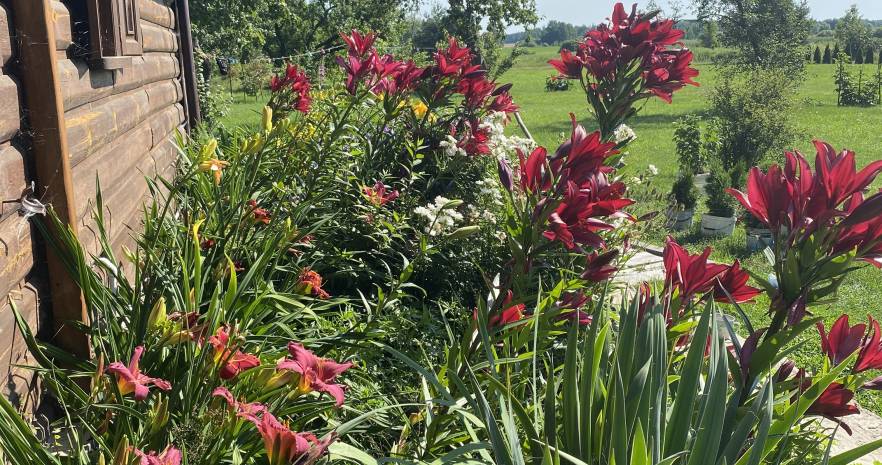 Шишканы в Брестской области, деревня Херма, 11А, Мухавецкий сельсовет  изображение 3 - kvartirka.by