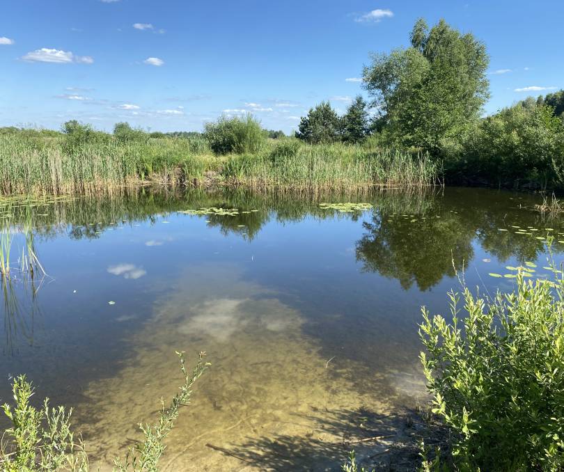 Шишканы - kvartirka.by