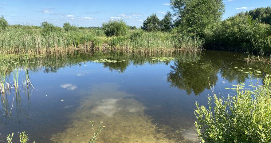 Шишканы в Брестской области, деревня Херма, 11А, Мухавецкий сельсовет  изображение 5 - kvartirka.by