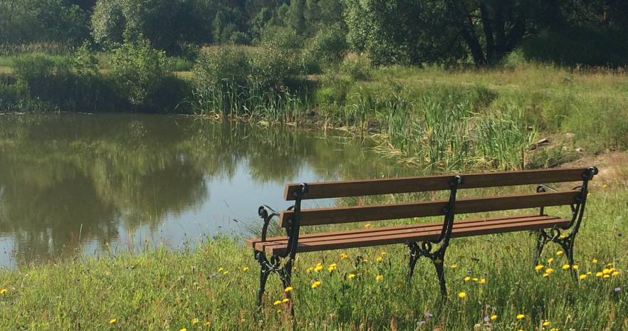 Шишканы в Брестской области, деревня Херма, 11А, Мухавецкий сельсовет  изображение 6 - kvartirka.by