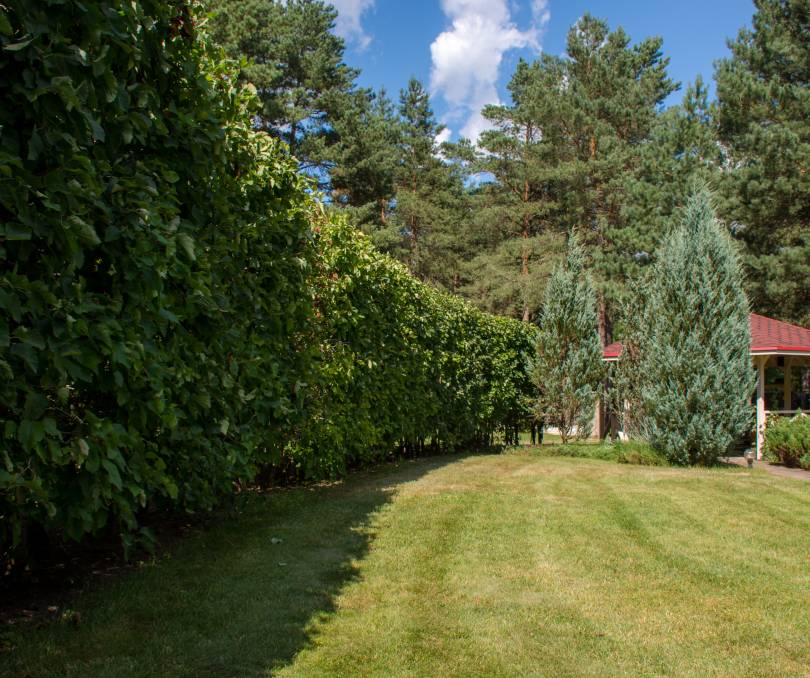 Дубрава - kvartirka.by