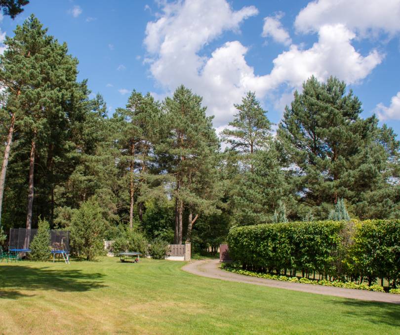 Дубрава - kvartirka.by