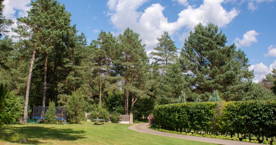 Дубрава в Минской области, д. Дрозды, ул. Лесная,  д.1  изображение 5 - kvartirka.by