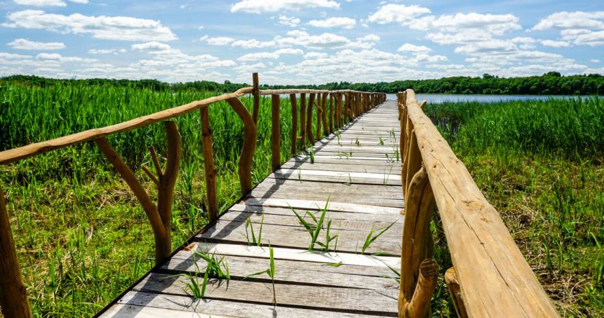 Агроусадьба "Диана" в Витебской области, Браславский район, Быстромовцы, ул. Центральная  изображение 9 - kvartirka.by