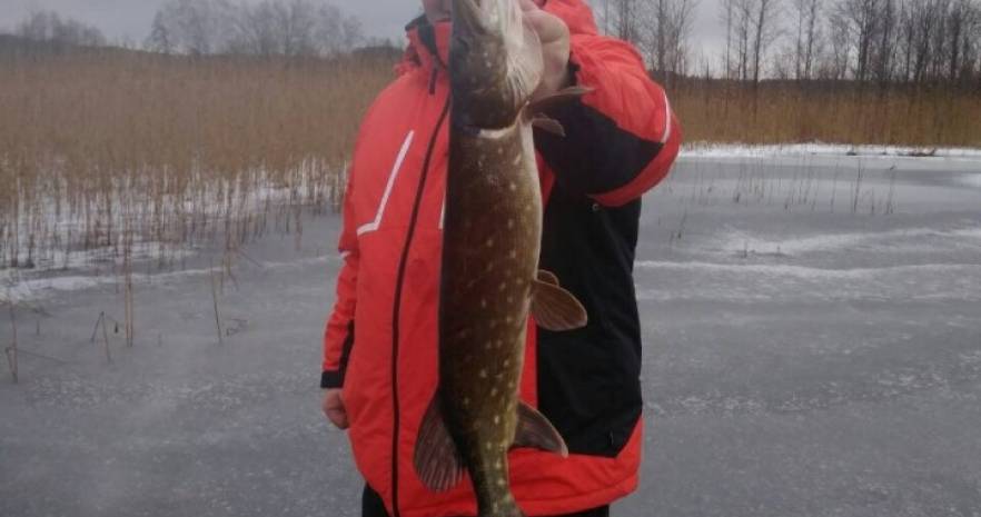 Агроусадьба "Диана" в Витебской области, Браславский район, Быстромовцы, ул. Центральная  изображение 77 - kvartirka.by