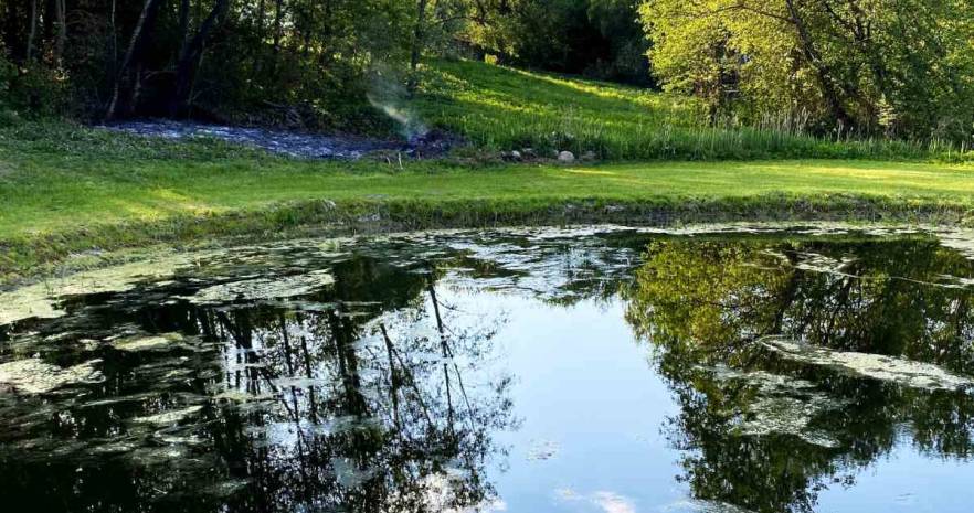 Еленский хутор в Витебской области, д. Еленцы, дом 5  изображение 24 - kvartirka.by