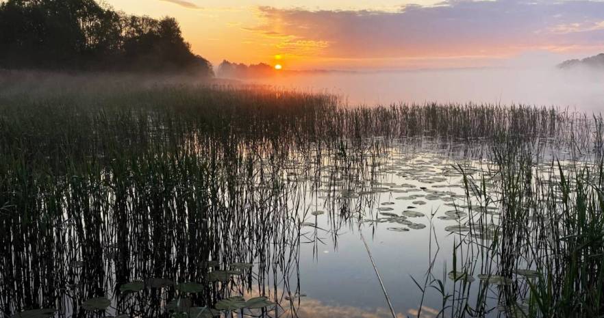 Еленский хутор в Витебской области, д. Еленцы, дом 5  изображение 27 - kvartirka.by
