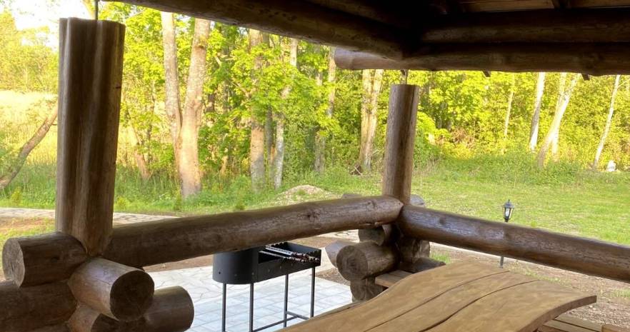 Еленский хутор в Витебской области, д. Еленцы, дом 5  изображение 30 - kvartirka.by