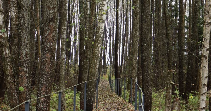 Усадьба 4 сезона в Витебской области, Новозарянский с/с, СТ «Чайка»  изображение 24 - kvartirka.by