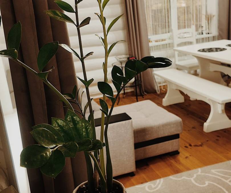 У Михася и Ганны  - kvartirka.by