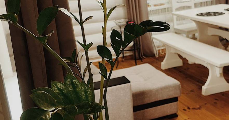 У Михася и Ганны  в Минской области, д. Уголец, ул. Янтарная, д. 8  изображение 6 - kvartirka.by