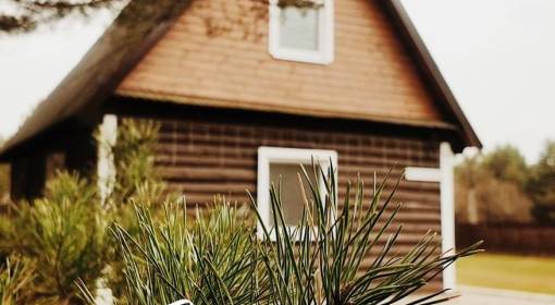 У Михася и Ганны  - kvartirka.by