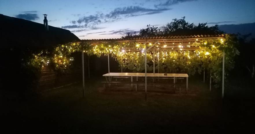 На Просторе в Гомельской области, Набережная улица, 27, посёлок Ковалёв Рог, Оторский сельсовет  изображение 8 - kvartirka.by