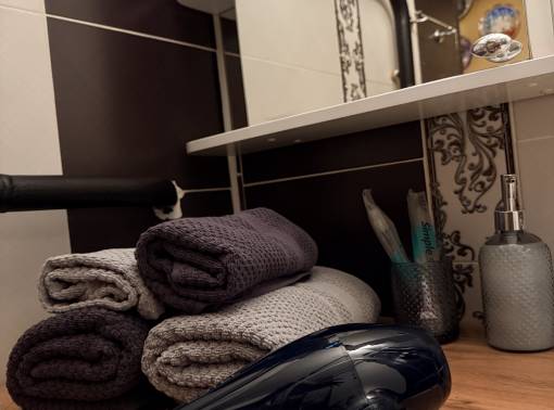 Забронировать 1ком.кв на сутки в Бресте  - kvartirka.by