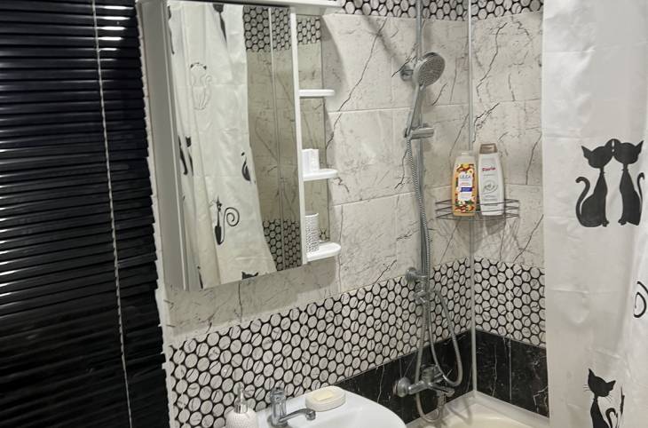 1-Комнатная квартира на сутки в  Барановичах,  Комсомольская ул., 14    изображение 5 - kvartirka.by