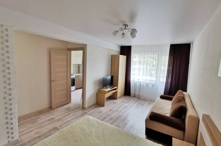 1-Комнатная квартира на сутки в  Витебске,  Фрунзе пр., 45А    изображение 1 - kvartirka.by