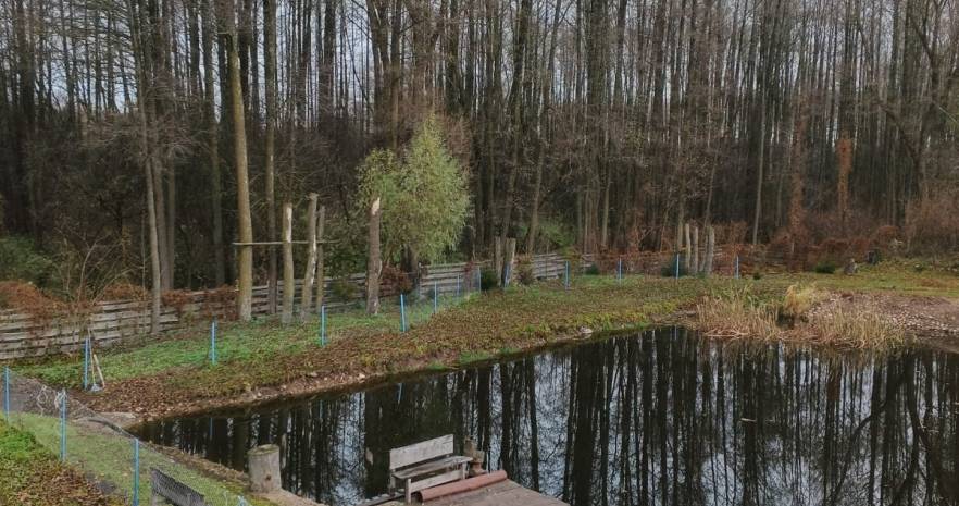 Баня на сутки в , Гродненский район, Коптёвский сельсовет, деревня Жукевичи, 1А  изображение 2 - kvartirka.by